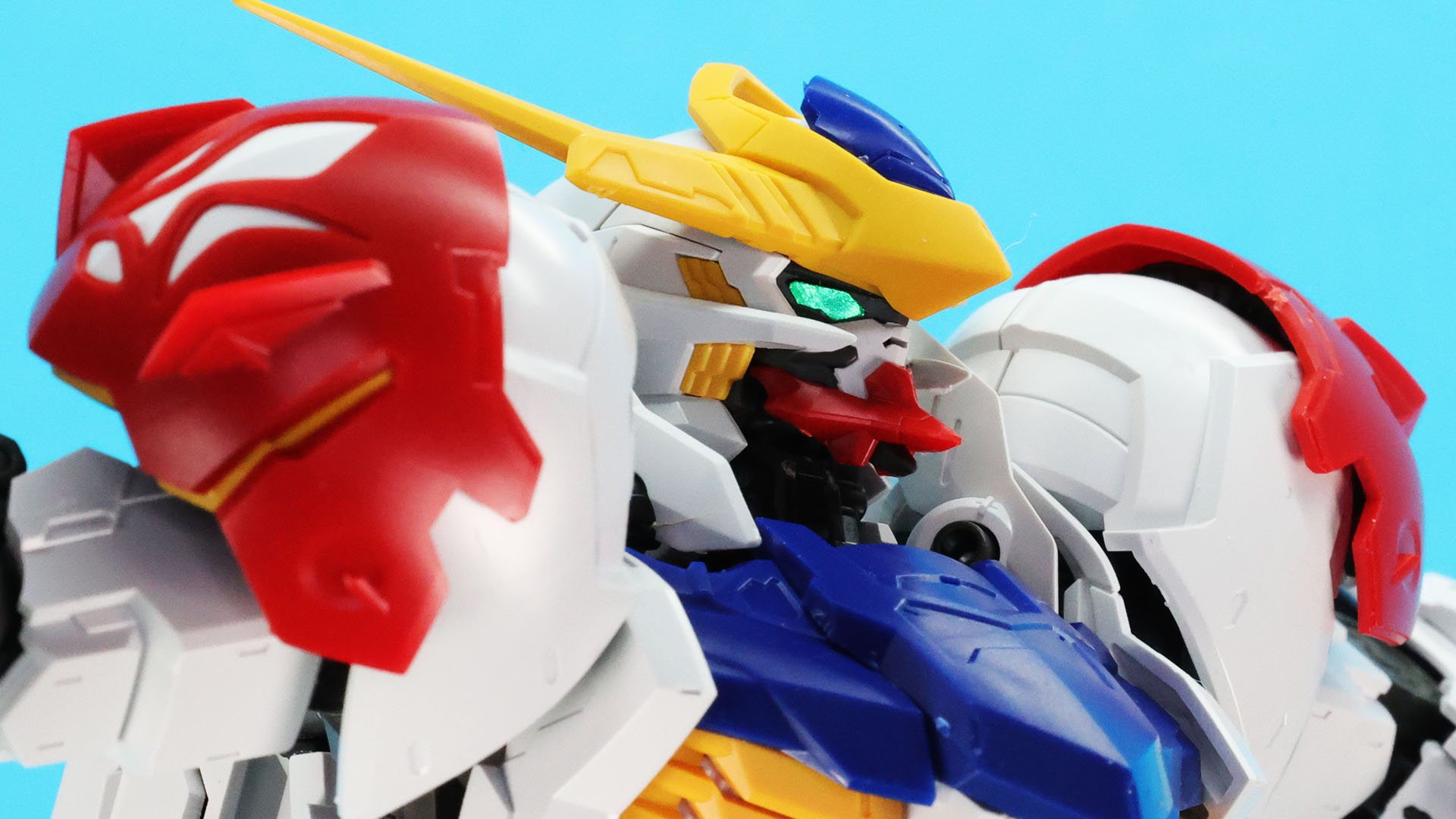 とてもシャープな頭部がかっこいいです！