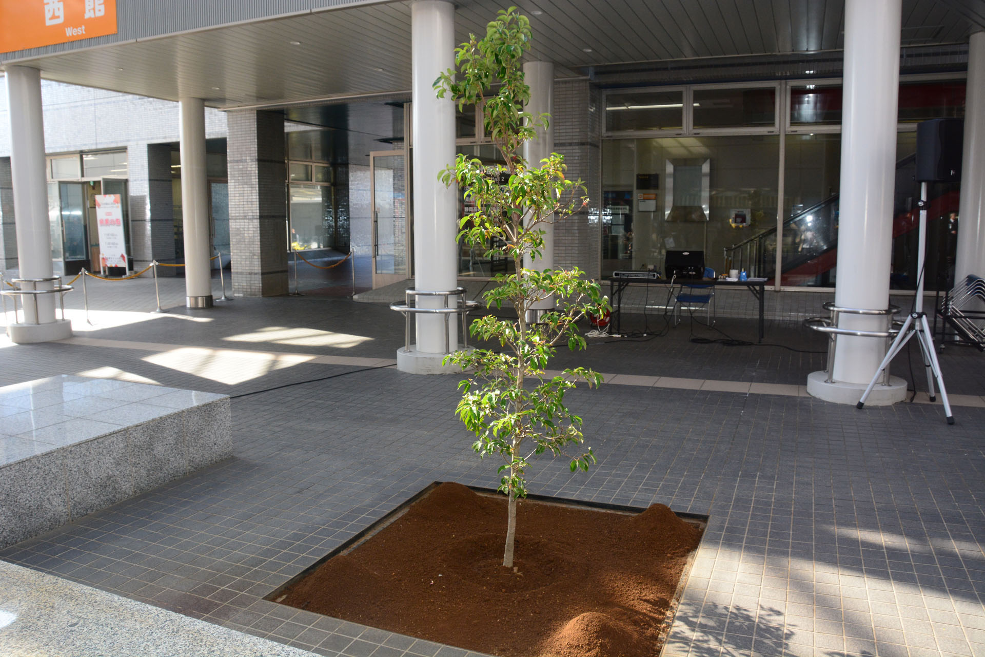 ツインメッセ静岡の新しいシンボルとなるだろう