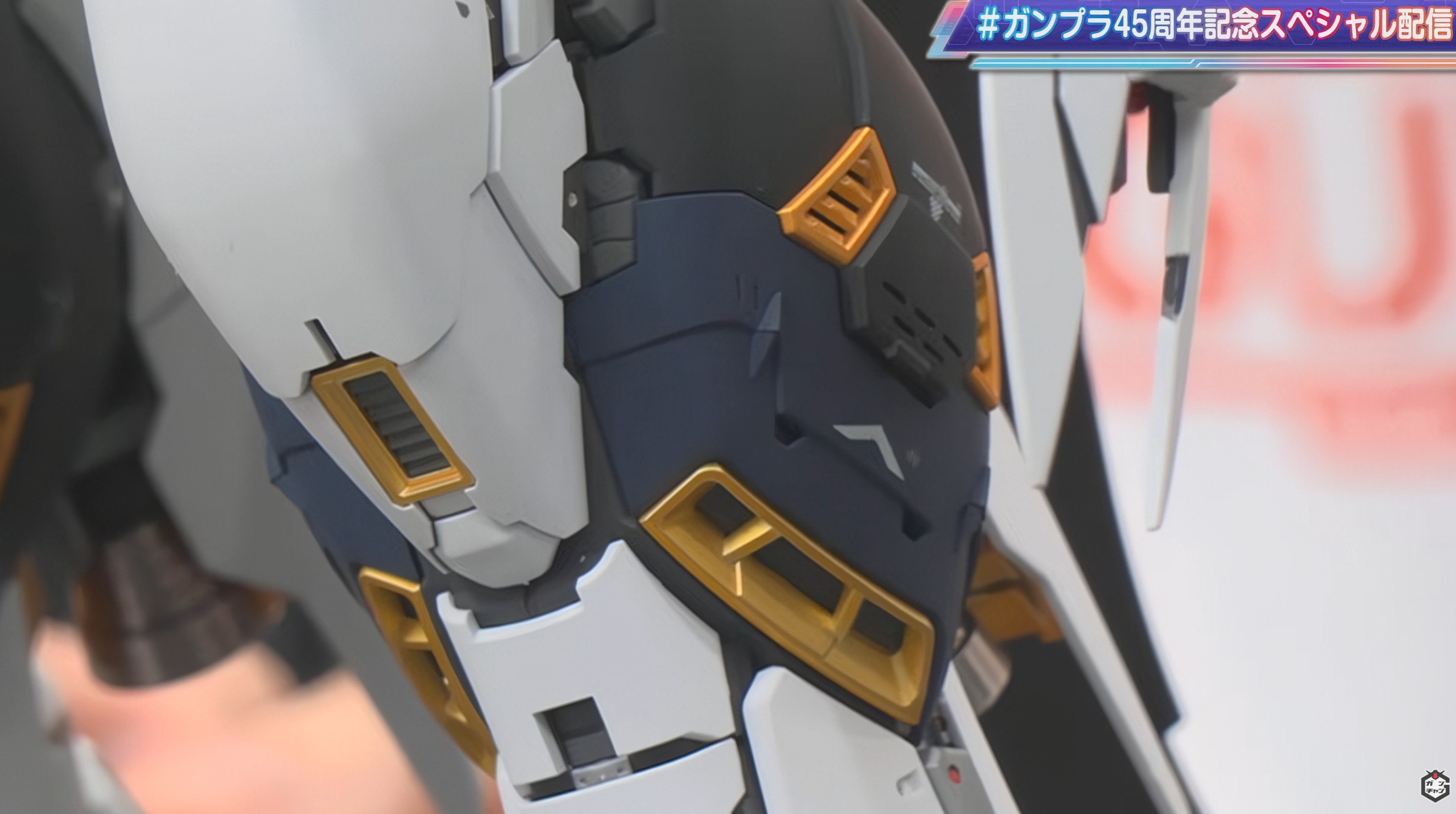 マーキングは水転写デカールで表現