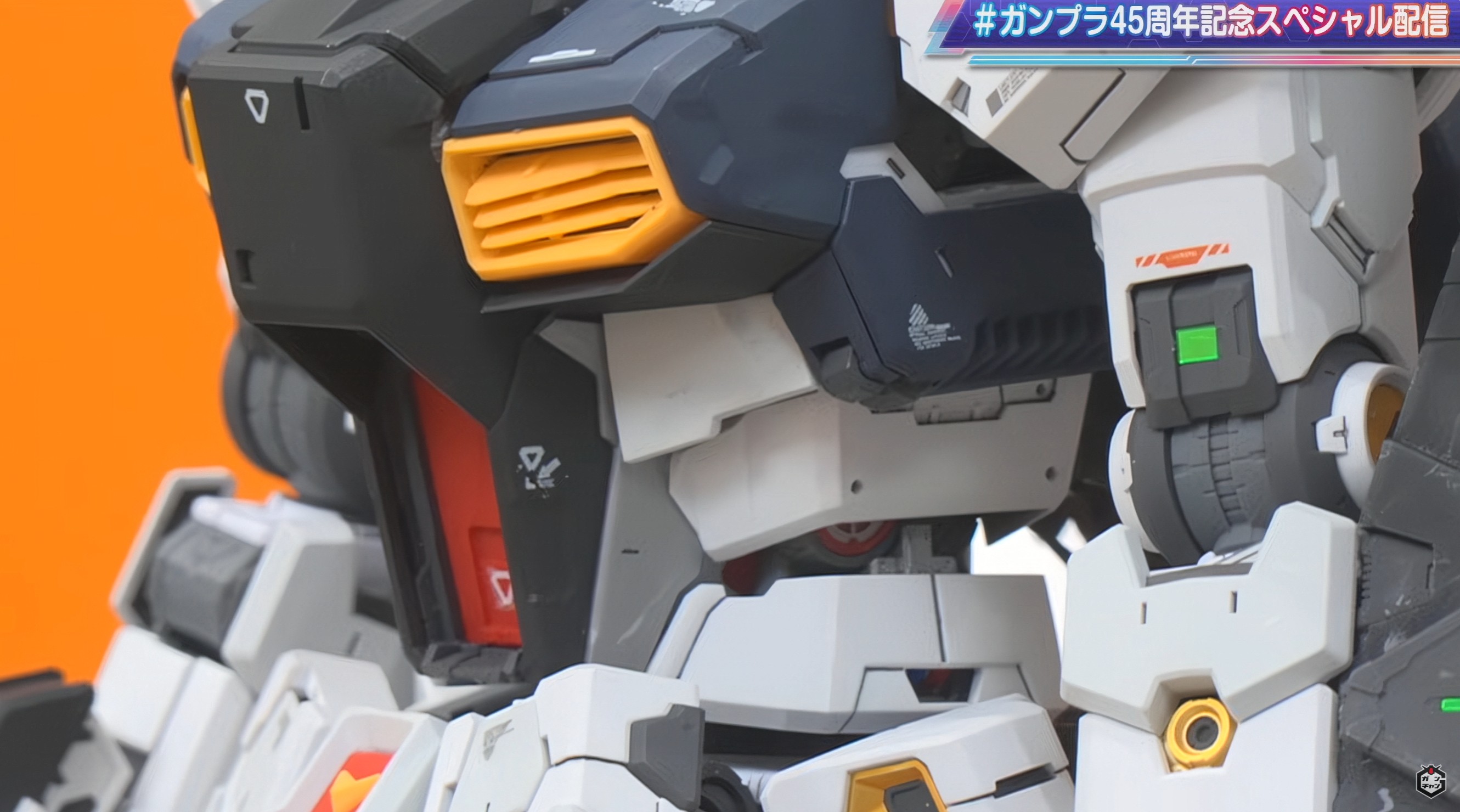 マーキングは水転写デカールで表現