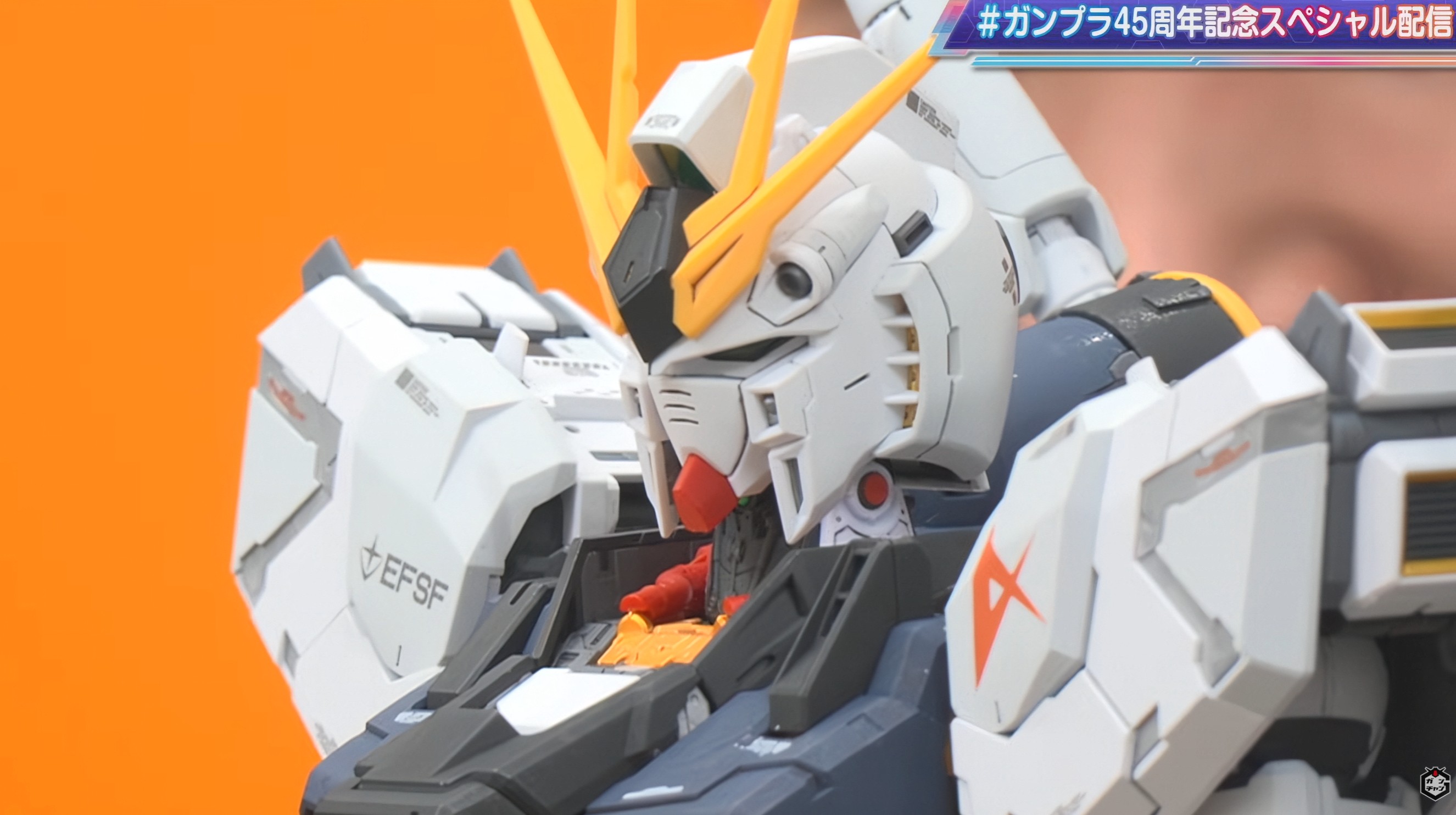マーキングは水転写デカールで表現