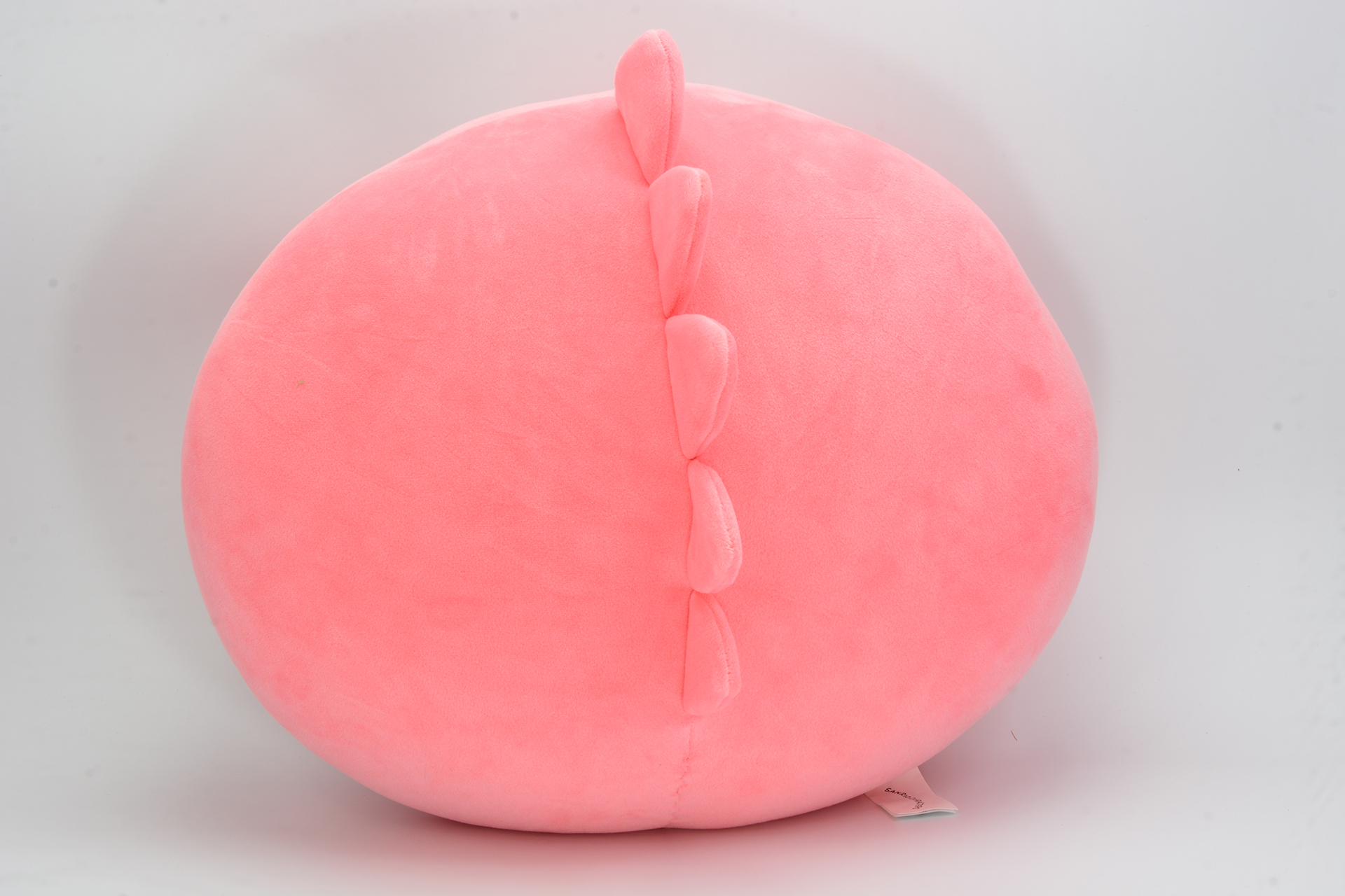 丸い背びれがかわいらしい