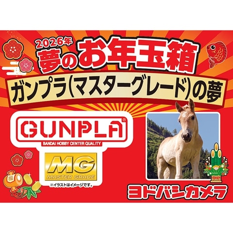 ヨドバシ・ドット・コムにて「2026年 夢のお年玉箱」抽選販売が開催