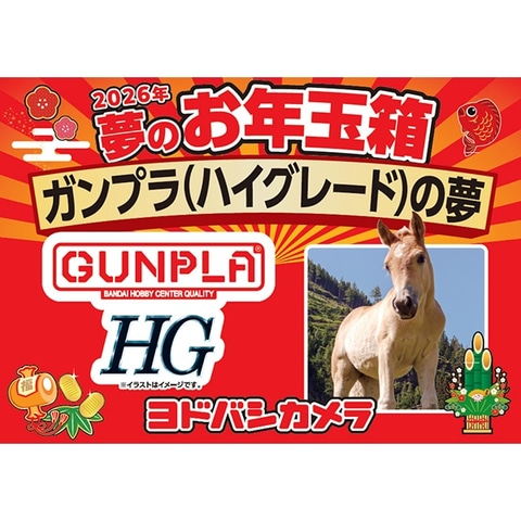 ヨドバシカメラ 2025 夢のお年玉箱 ガンプラの夢 ヨドバシ・ドット・コムにて「2026年 夢のお年玉箱」抽選販売が開催