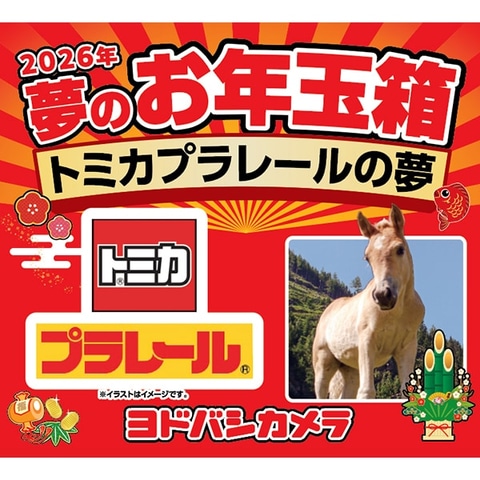 ヨドバシ・ドット・コムにて「2026年 夢のお年玉箱」抽選販売が開催