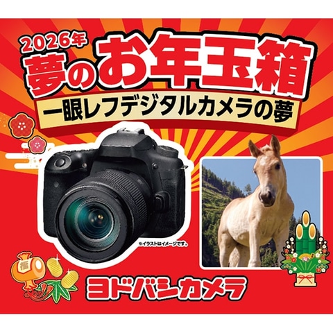 ヨドバシ・ドット・コムにて「2026年 夢のお年玉箱」抽選販売が開催