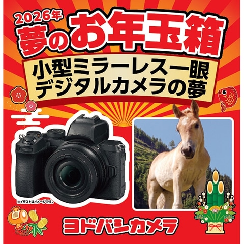 ヨドバシ・ドット・コムにて「2026年 夢のお年玉箱」抽選販売が開催
