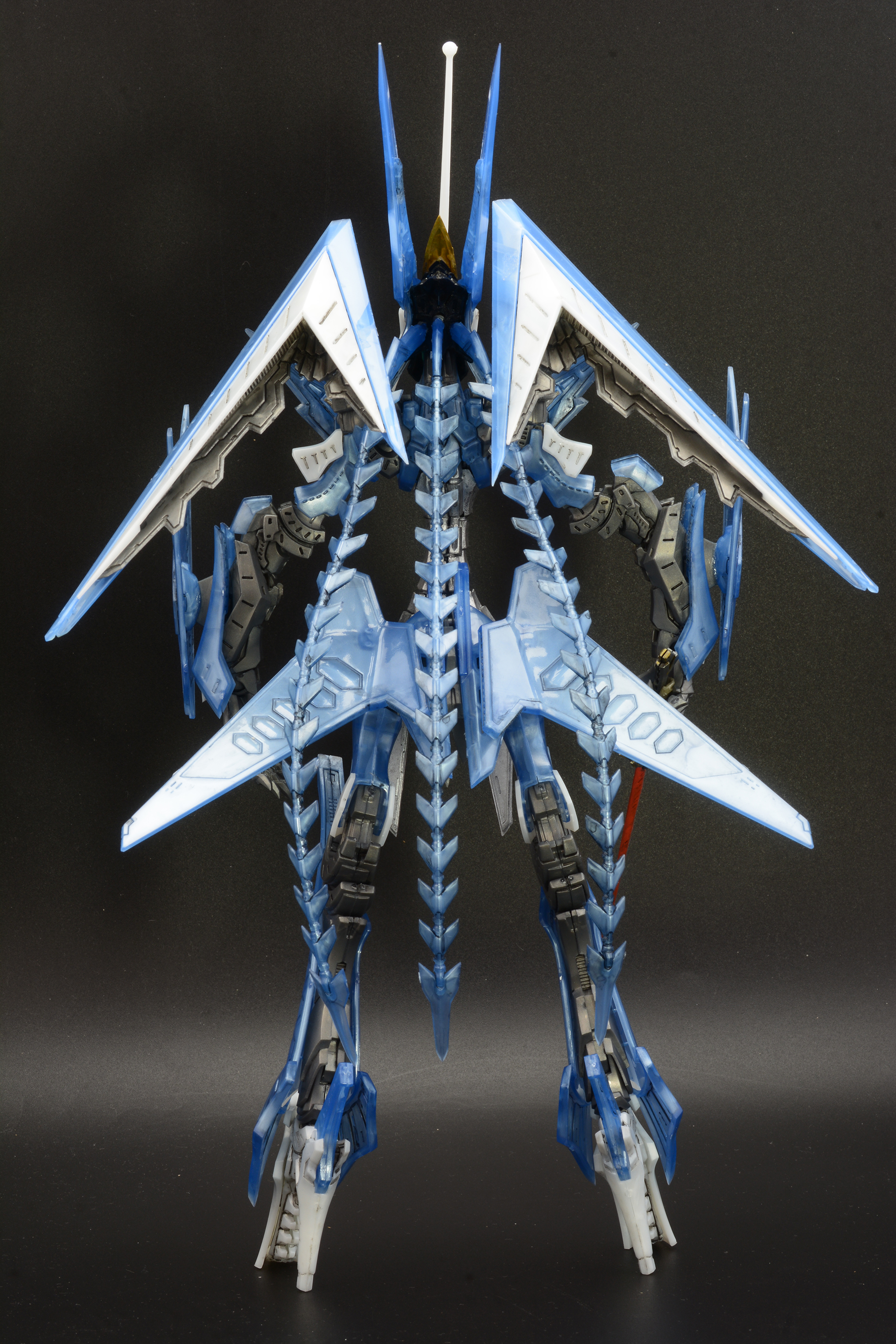 背面