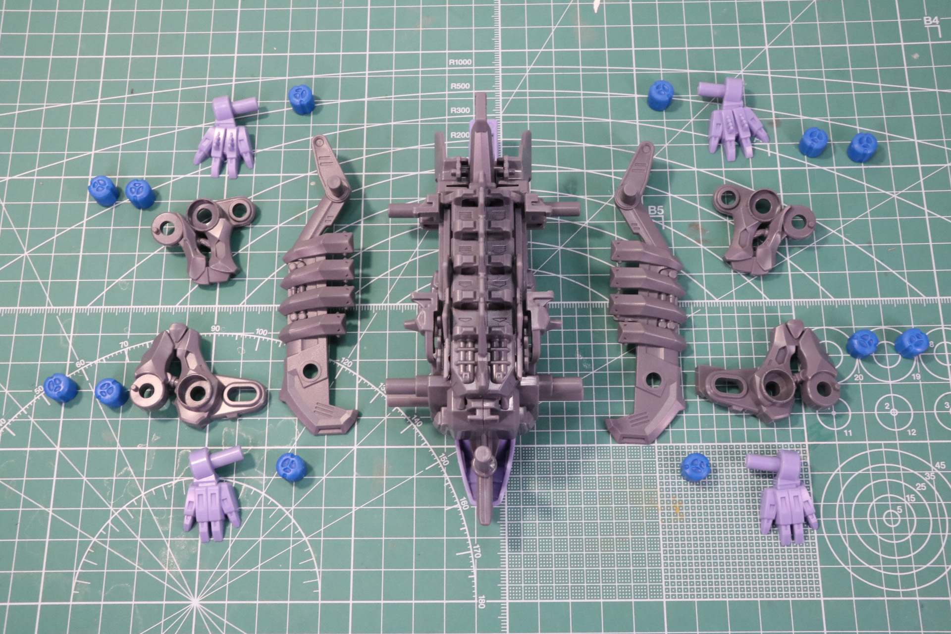 前脚、後ろ脚、あばら骨を組む