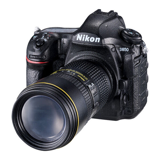 「Nikon D850：AF-S NIKKOR 24-70mm f/2.8E ED VR」