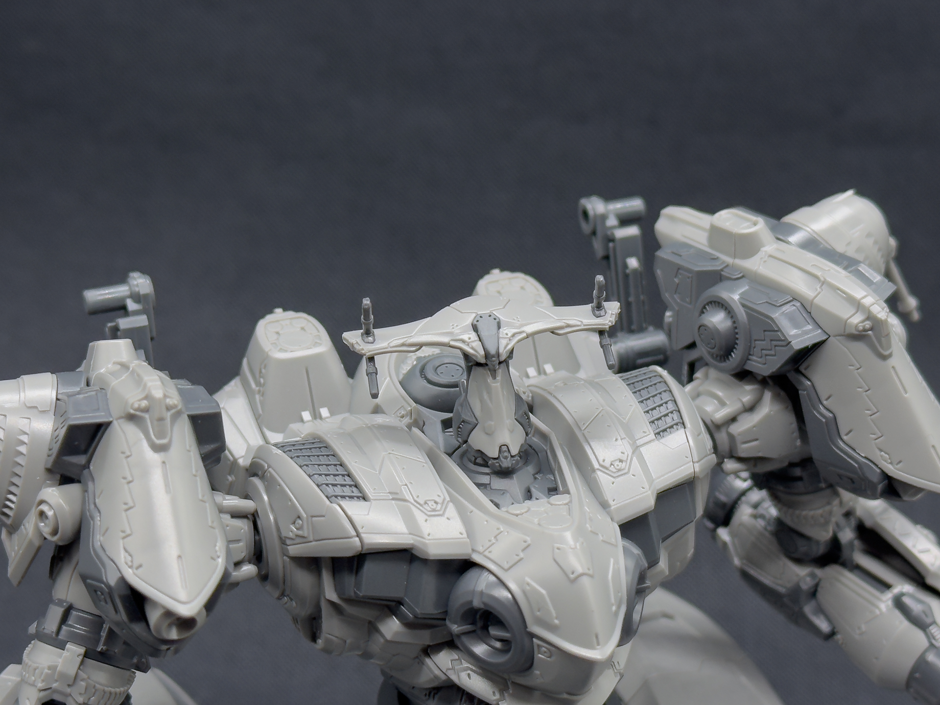 頭部もユニークな形状をしています。