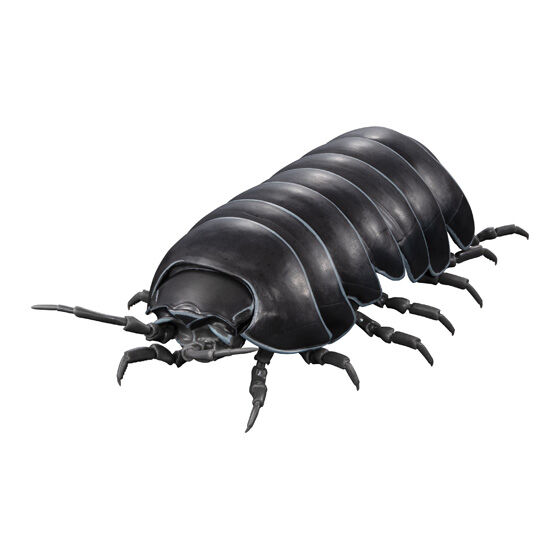 「ダンゴムシ」