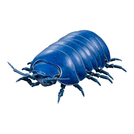 「イリドダンゴムシ」