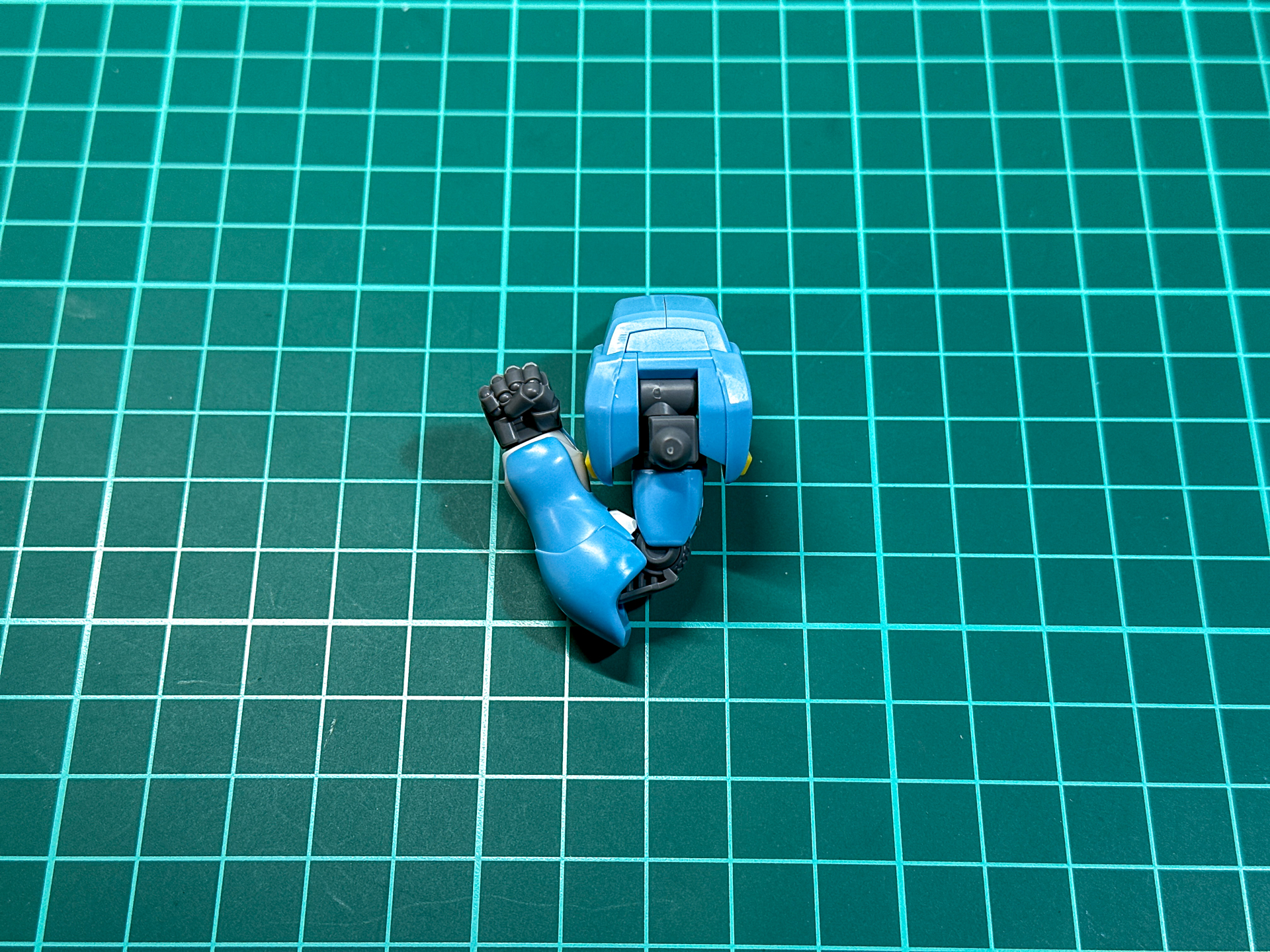 肘関節は二重関節により大きく可動します。