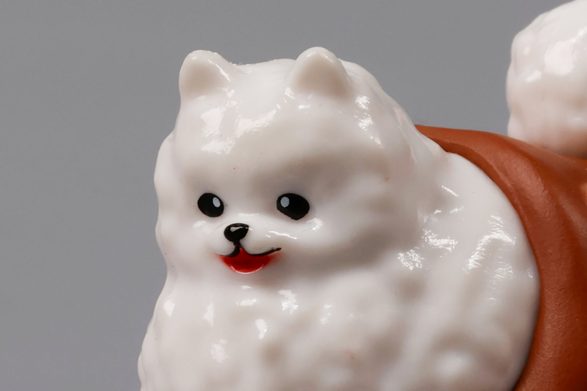 一見すると普通のワンちゃんにしか見えない