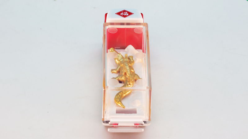 上面からわにの様子がよく確認できます