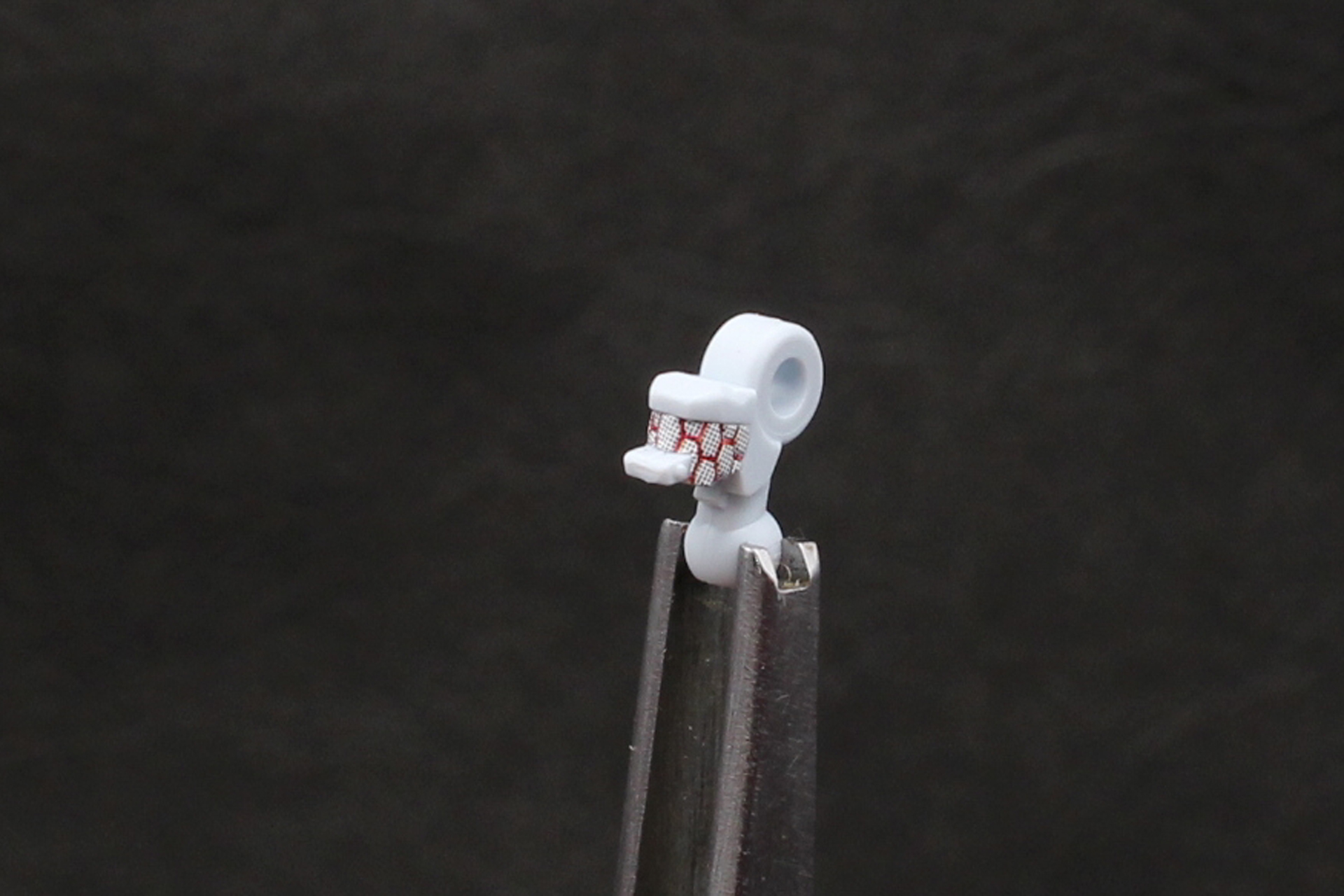 シールを貼った状態。モールドもあるので塗装で表現してみるのもいいだろう