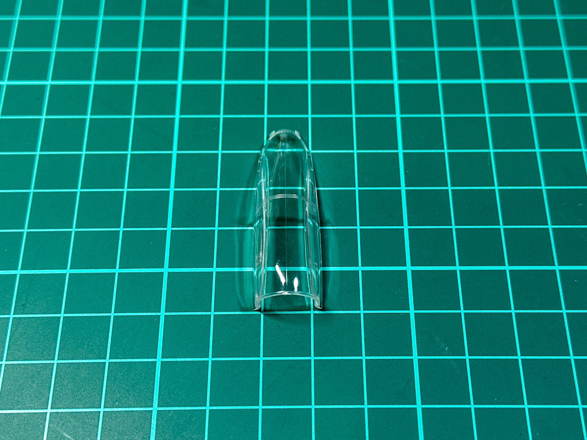 処置前のキャノピーには中央にパーティングラインが確認できます。