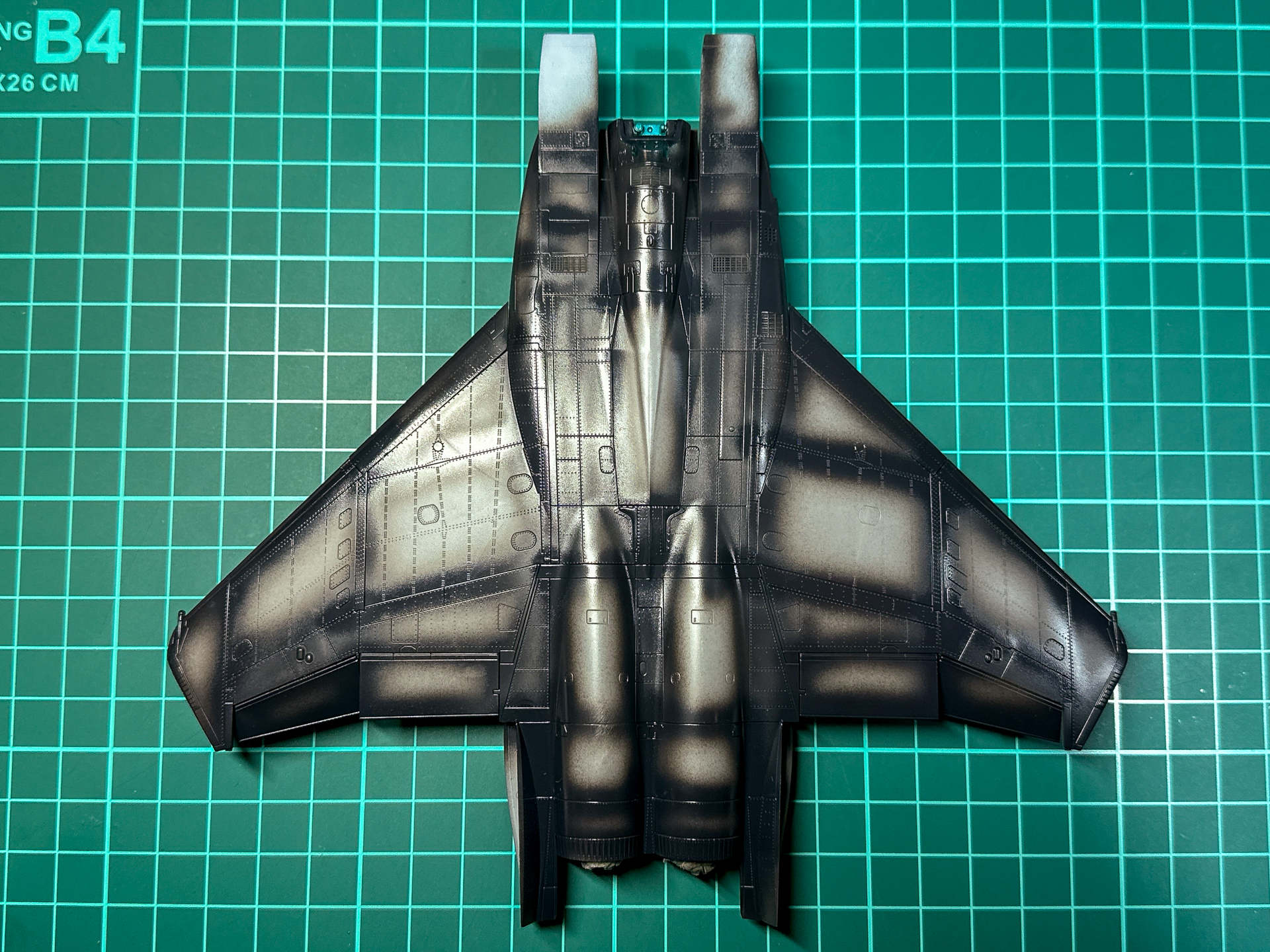 プレシェードは必要な箇所にのみ塗装を行ないます。