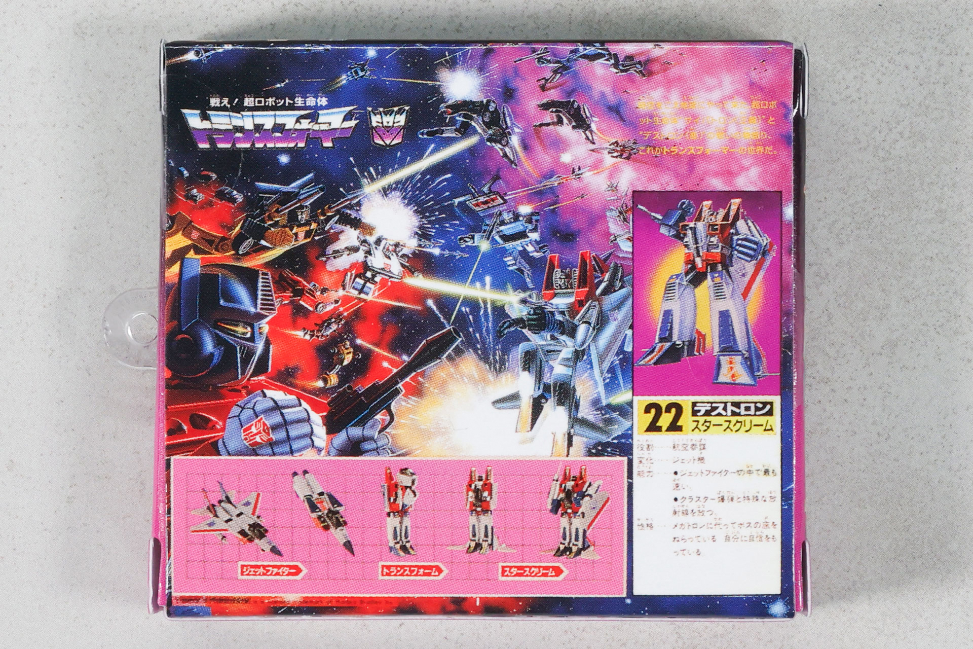 背面側に描かれているイラストも興味深い