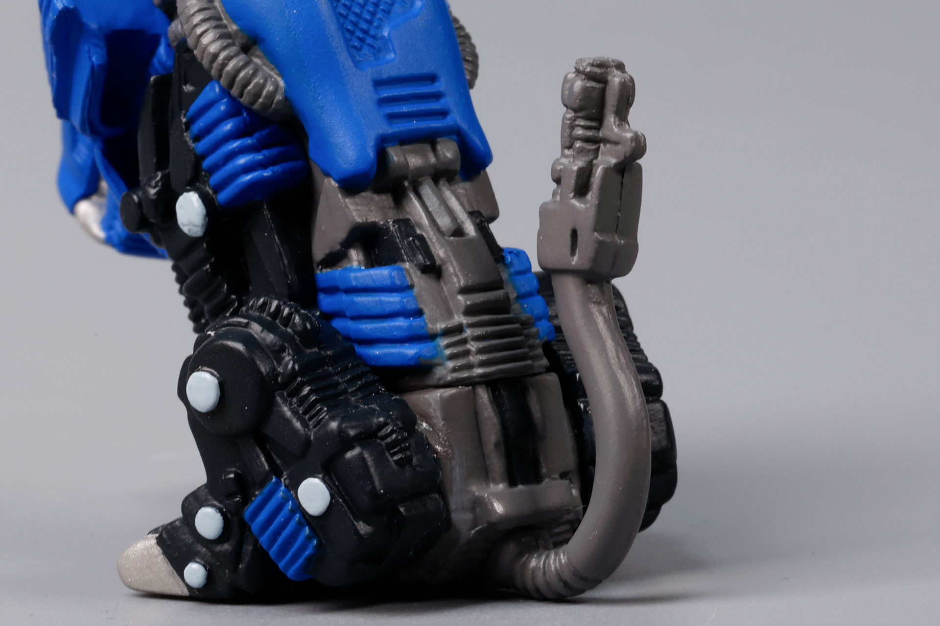 尻尾の形もユニークだ