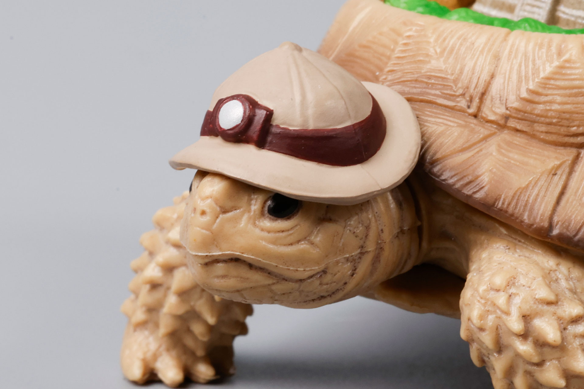 頭に帽子を被っている