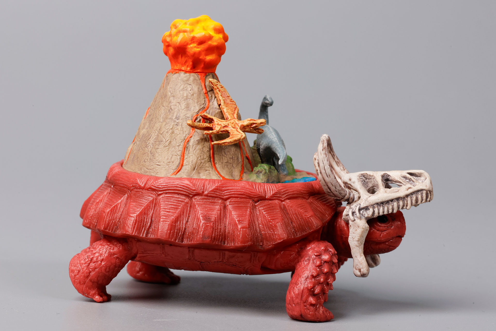 リクガメと見事に融合している