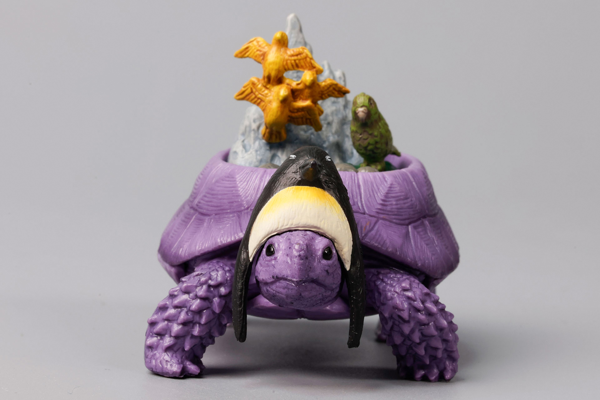 足のトゲトゲが力強そうに見える