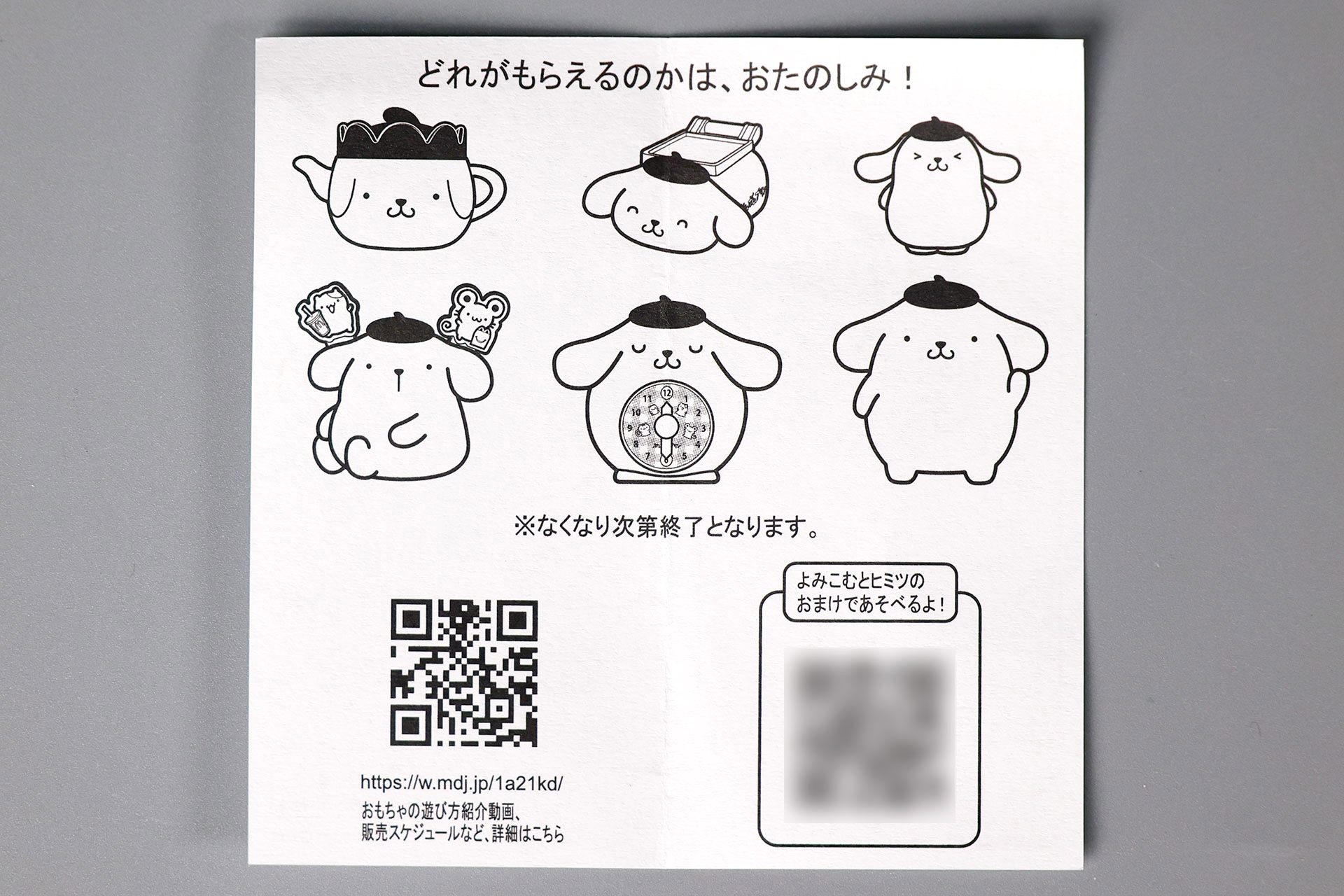 説明書の裏面は全部のおもちゃに共通したものだ