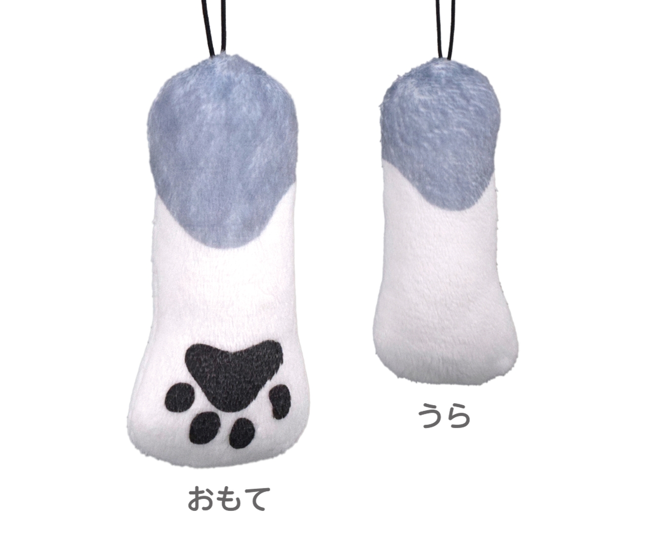 シベリアンハスキー