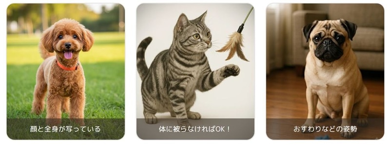 良い写真の例