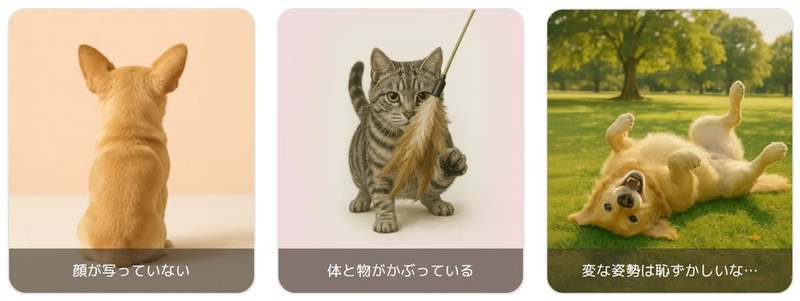 悪い写真の例