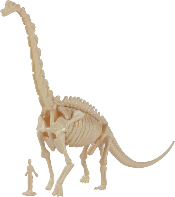 ブラキオサウルス