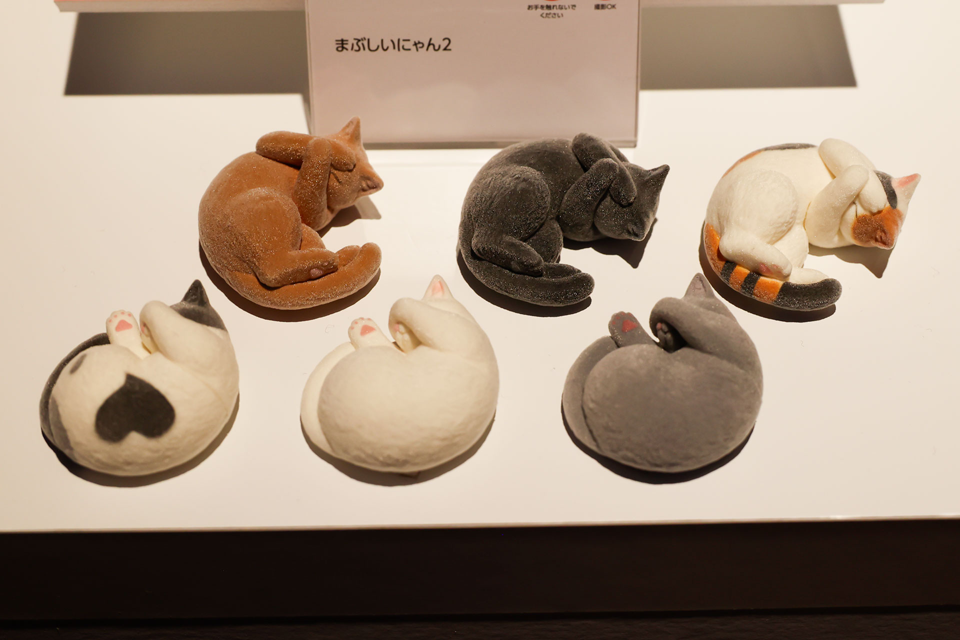 「まぶしいにゃん2」。200円