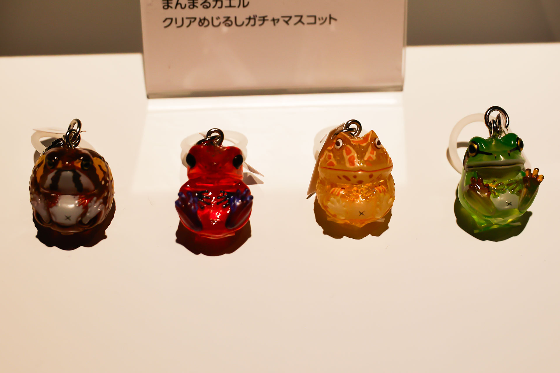 「まんまるカエル クリアめじるしガチャマスコット」。300円