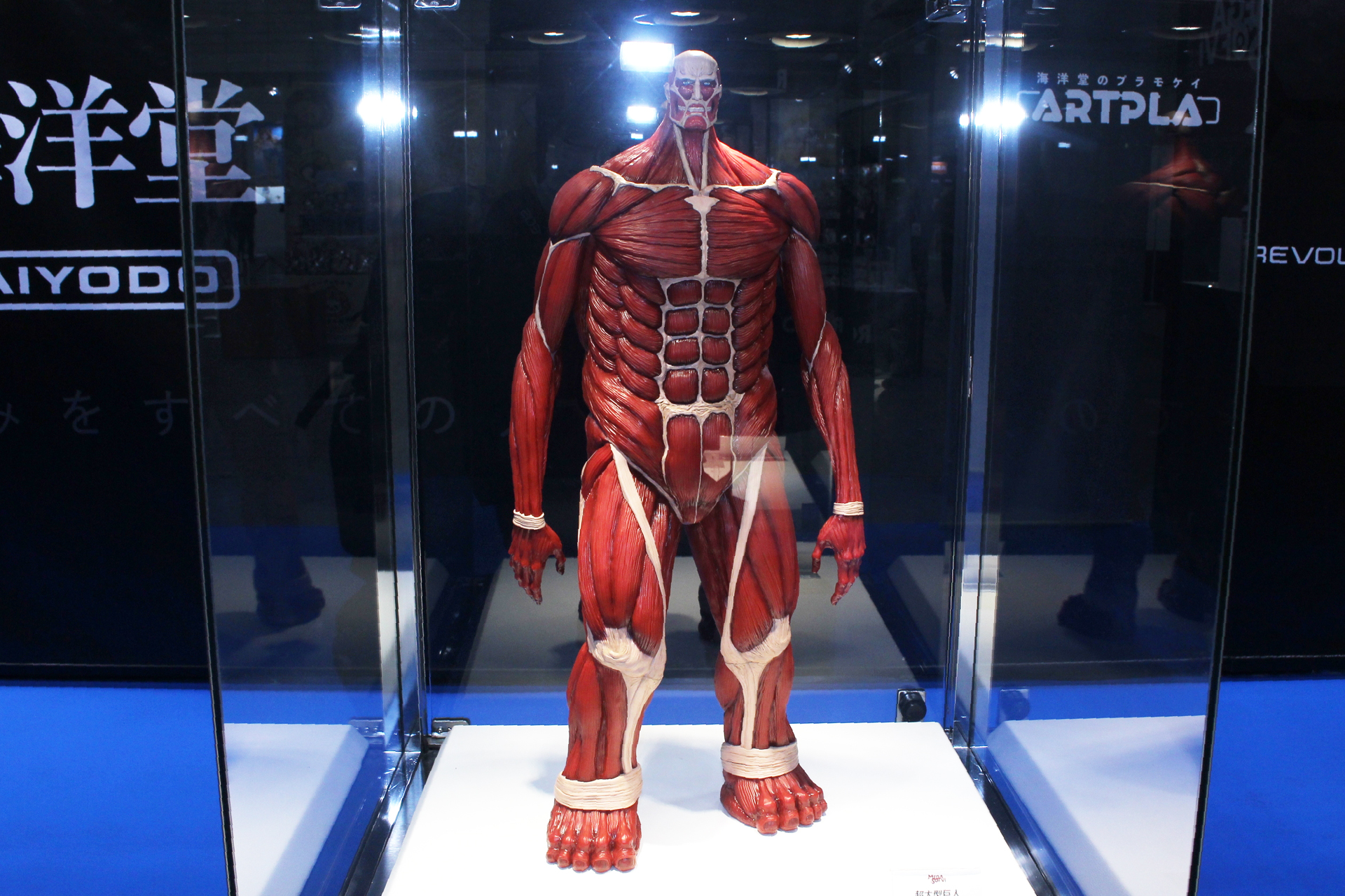 「メガソフビ 超大型巨人」