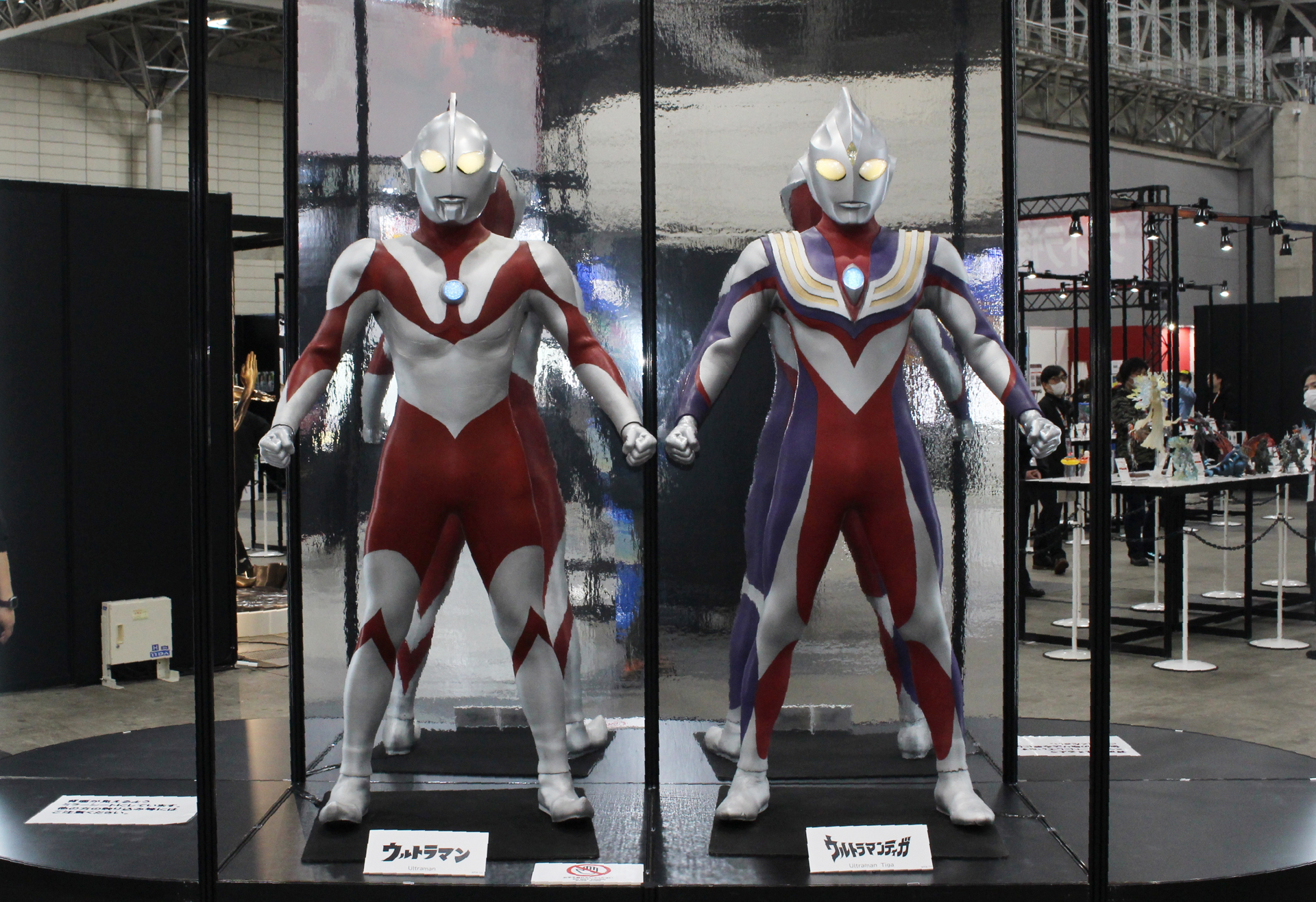 新旧ウルトラマンの共演だ