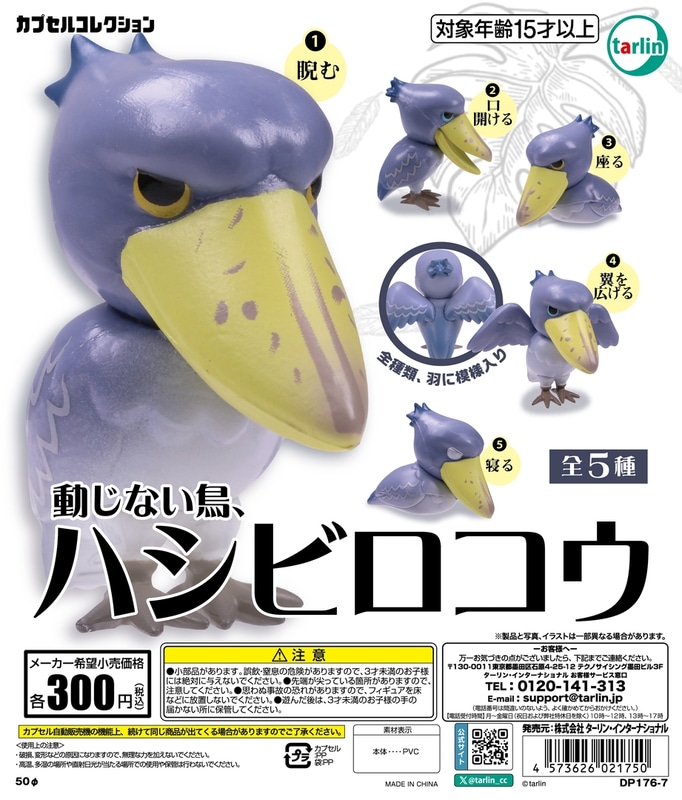 「動じない鳥、ハシビロコウ」