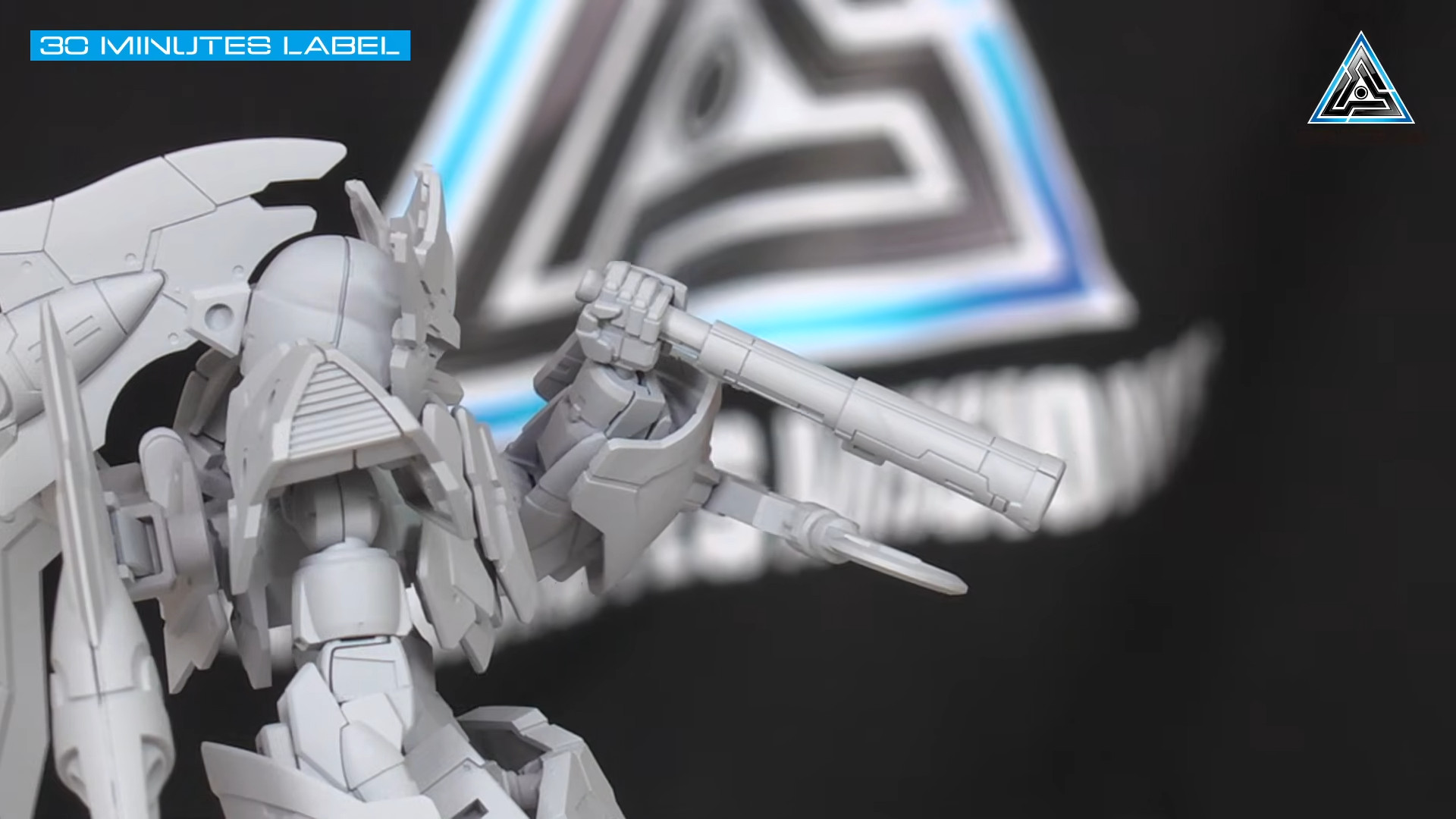 30MM 1/144 EXM-A9p スピナティオ(海賊仕様)