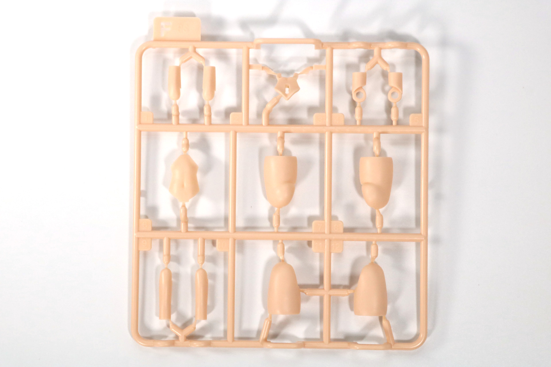 Eパーツ、Fパーツ