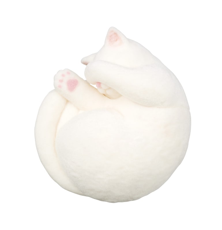 「片手隠し 白猫」