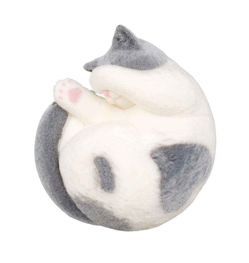 片手隠し 黒ハチワレ