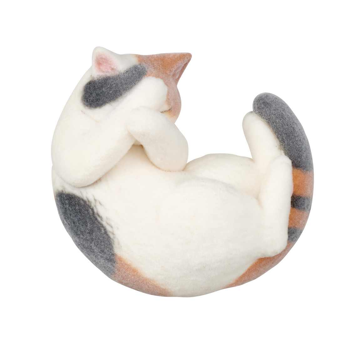 両手隠し 三毛猫