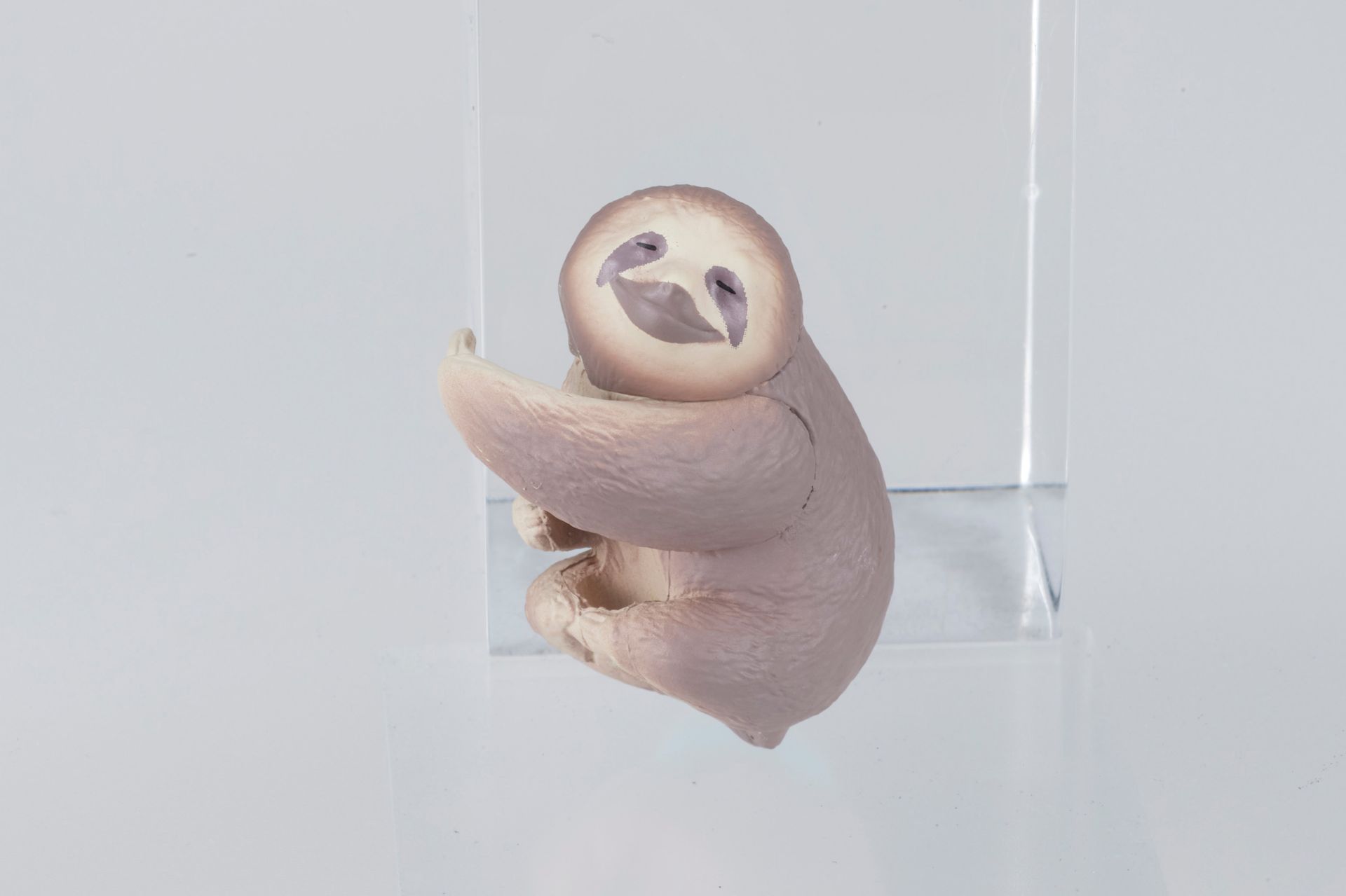 「ナマケモノ」