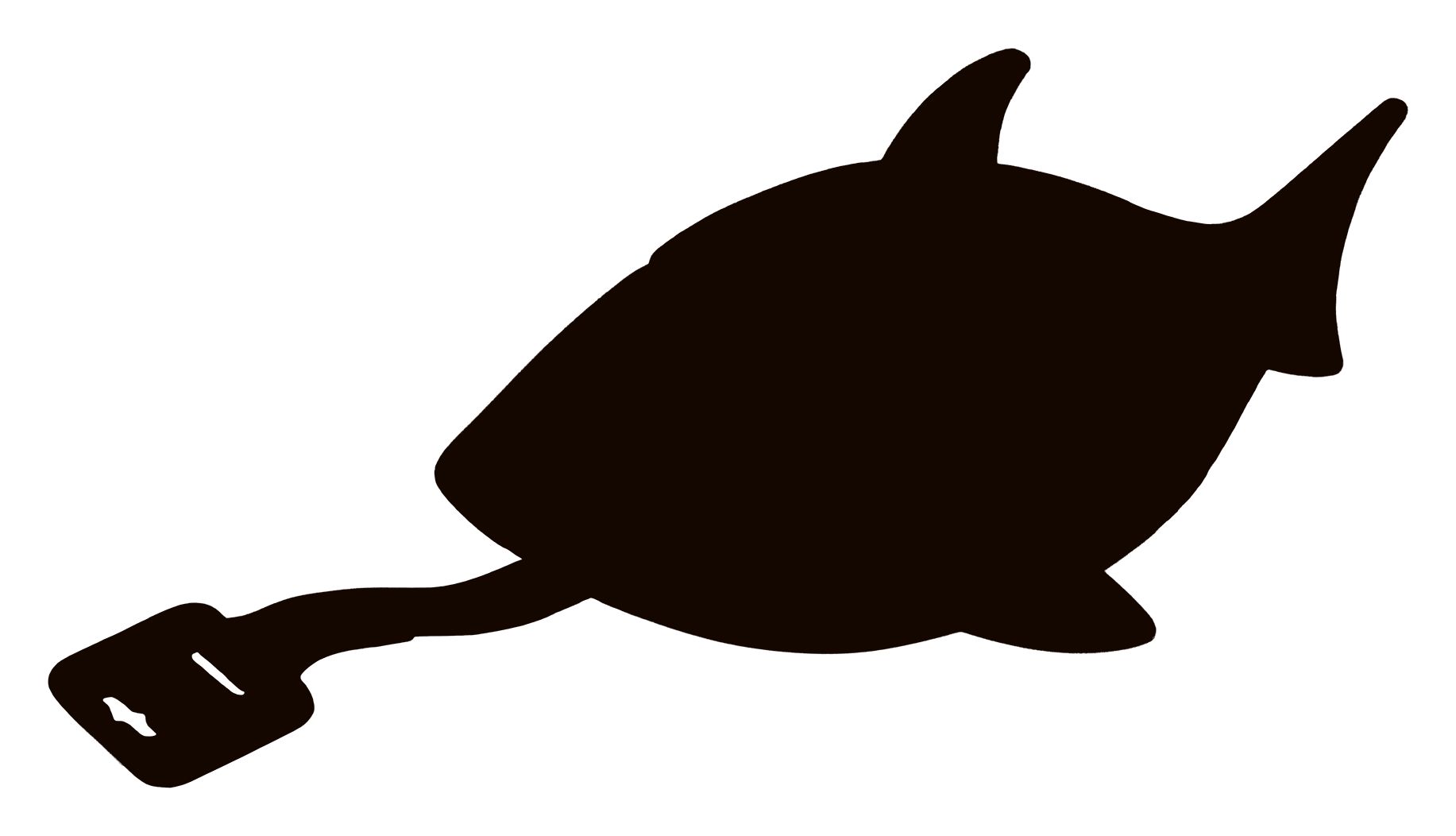 金のサメジャー（シークレットレア）