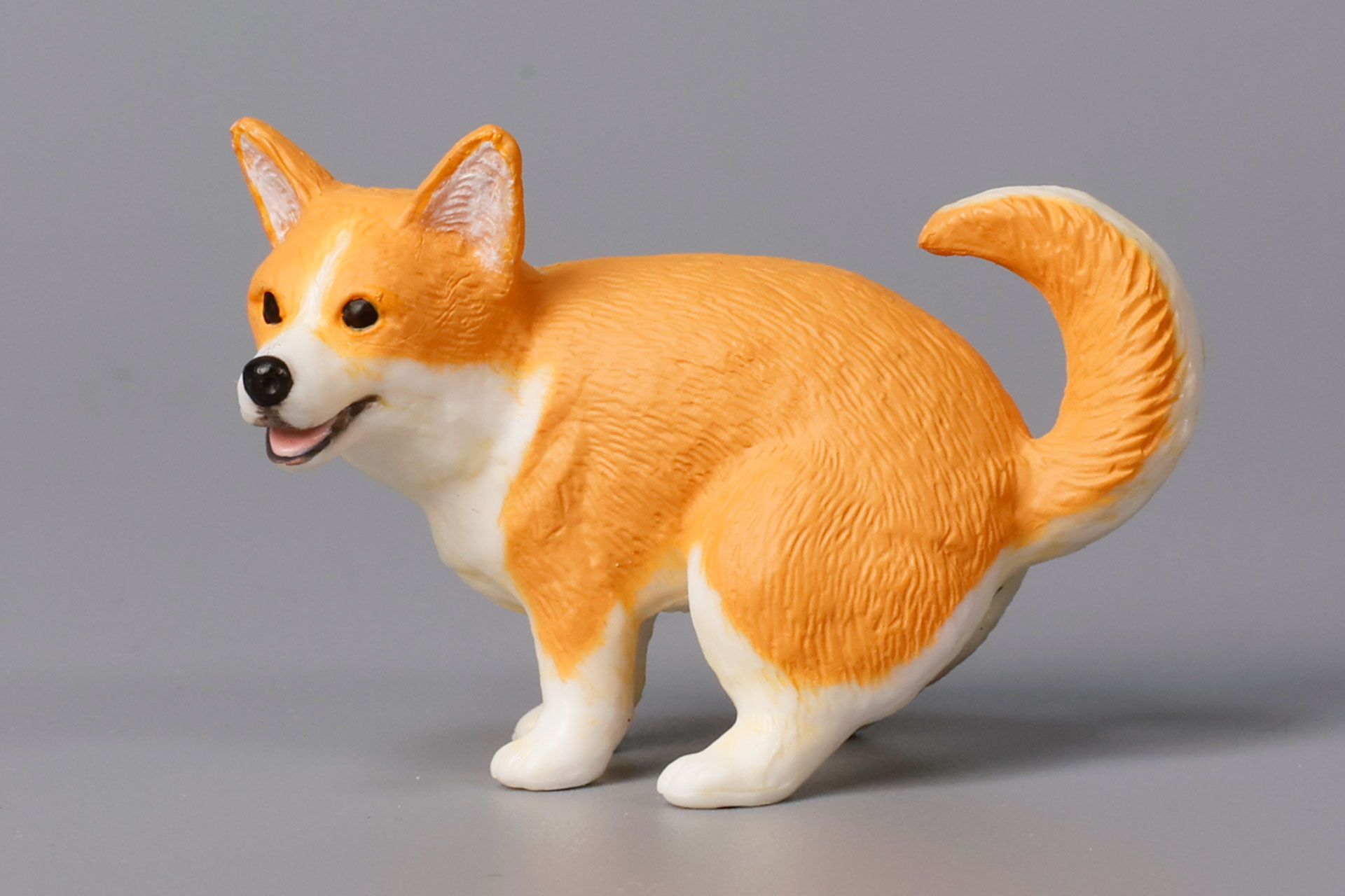 明るい毛並みが特徴的だ