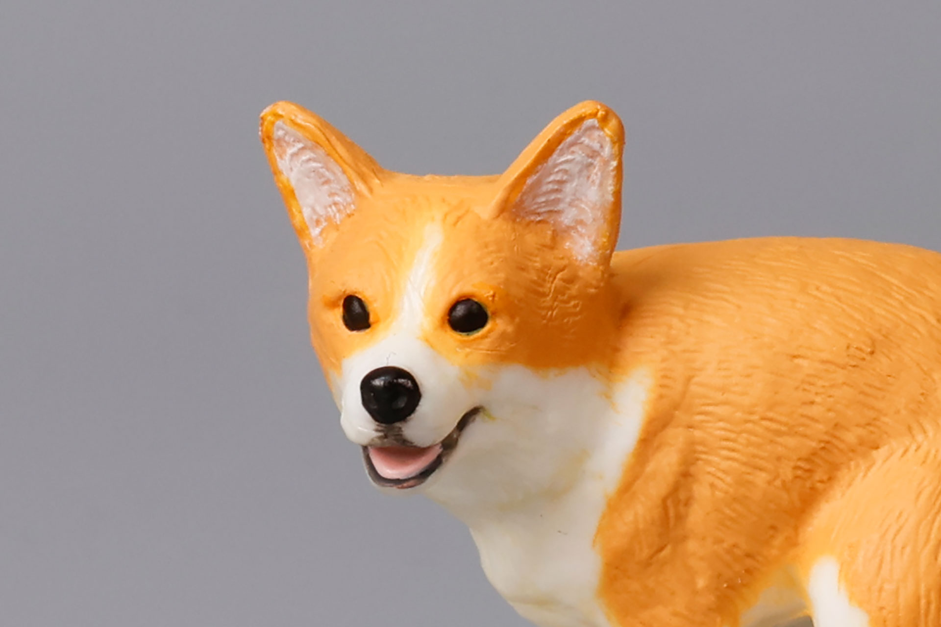 つぶらな瞳をしている