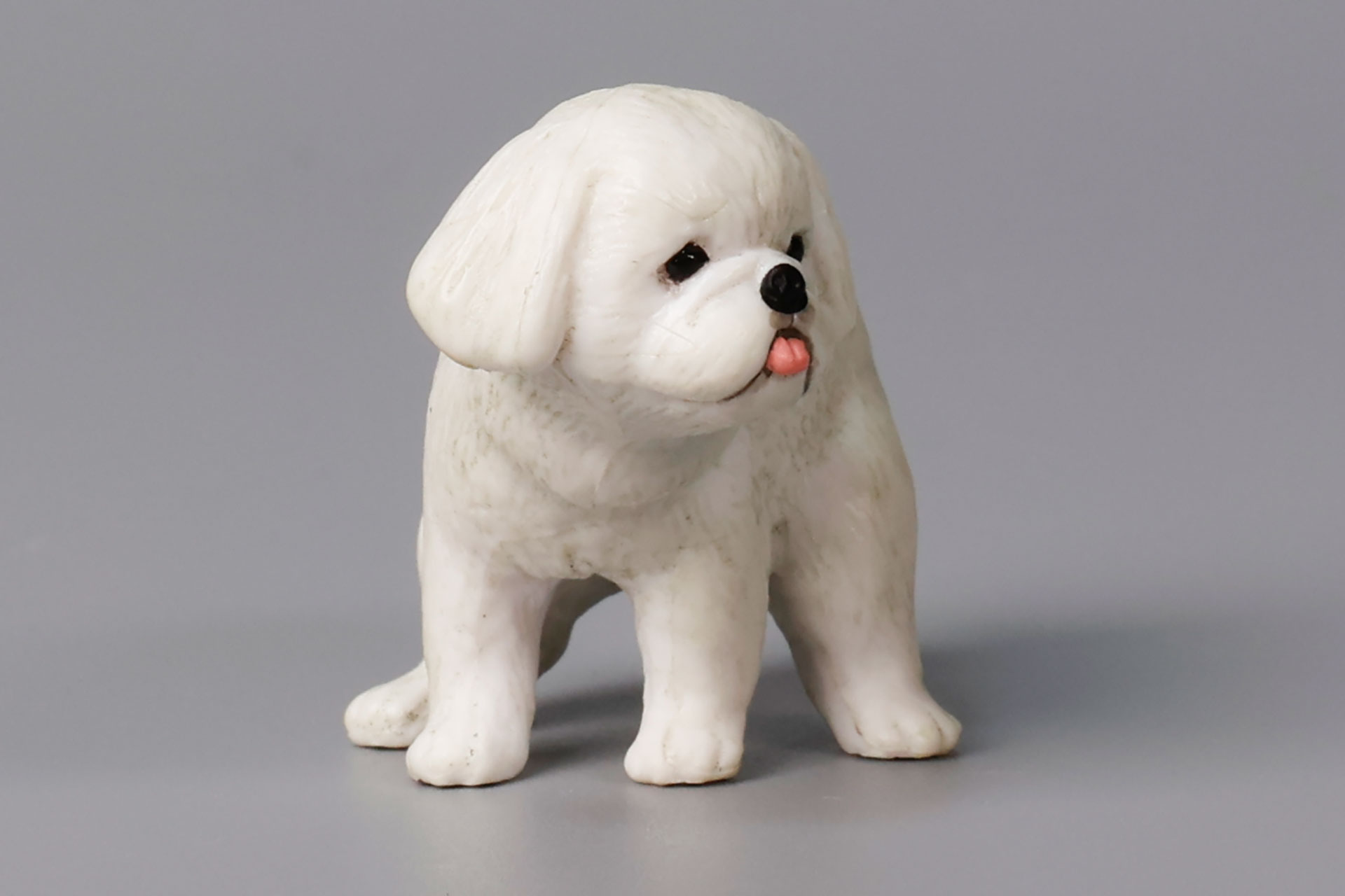 犬のカレンダーなどで見かけそうな姿だ
