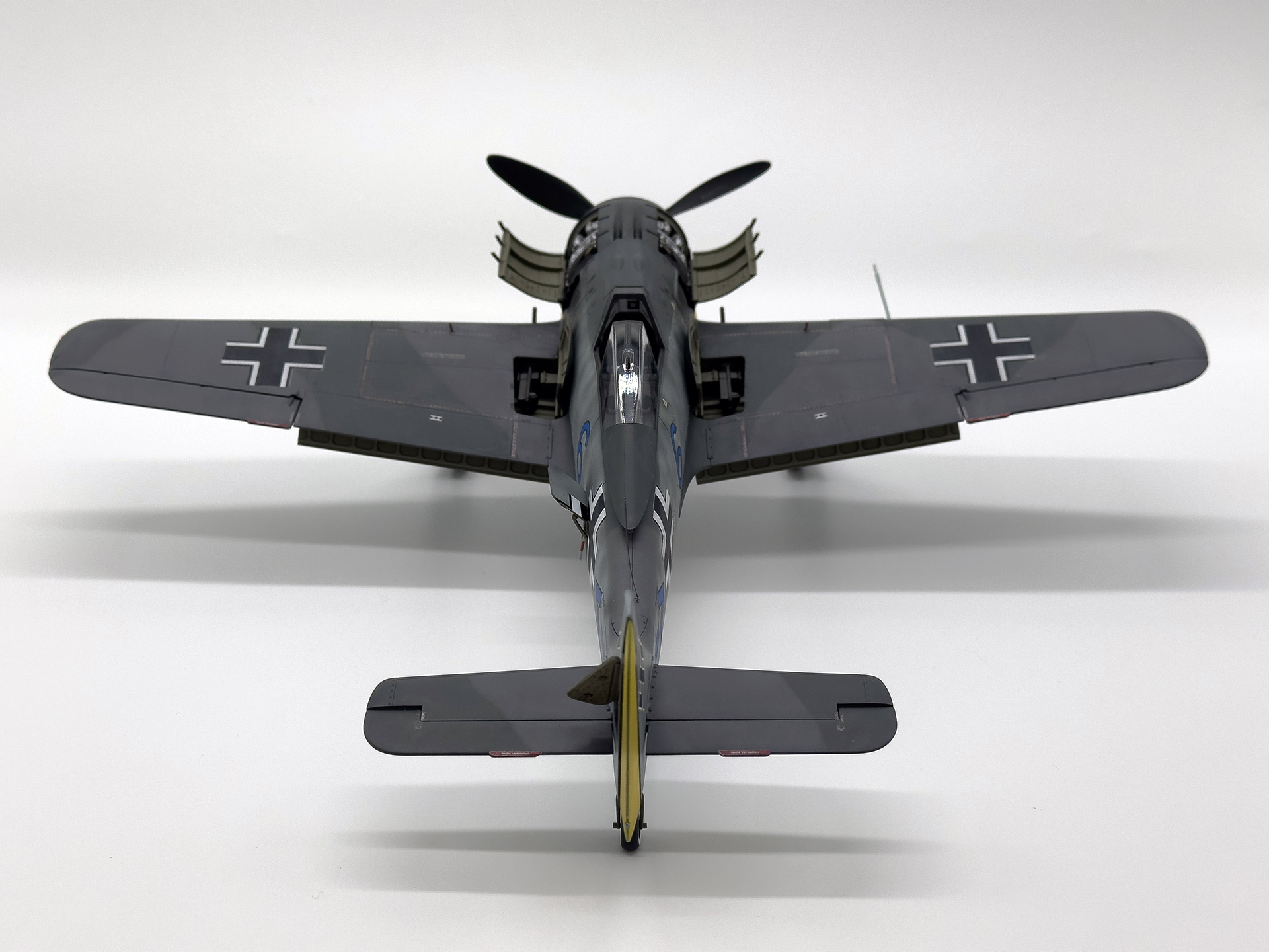 本機の尾翼はイエローのアクセントカラーとなります