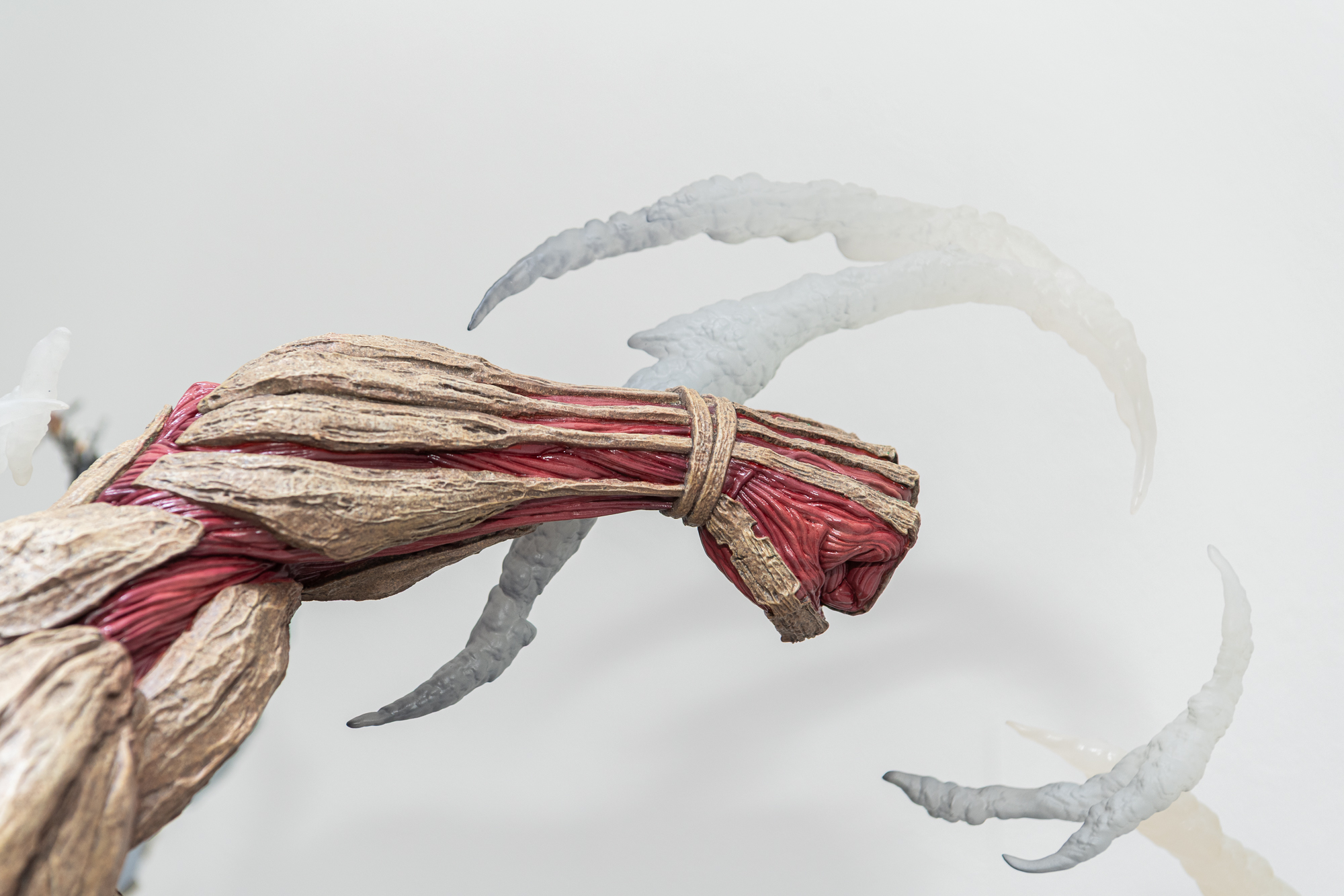 張り詰めた筋肉が美しい